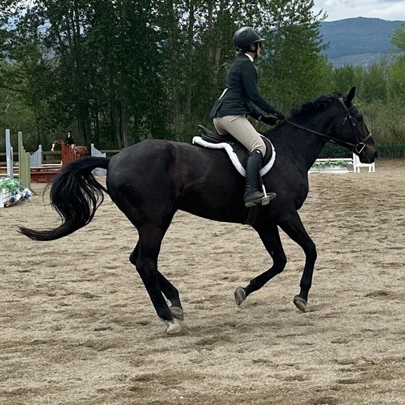 Meet your Posher, Shona - Picture 1 of 1